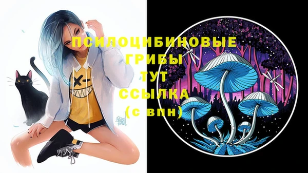 ALPHA-PVP Вязники