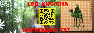 крисы Ливны