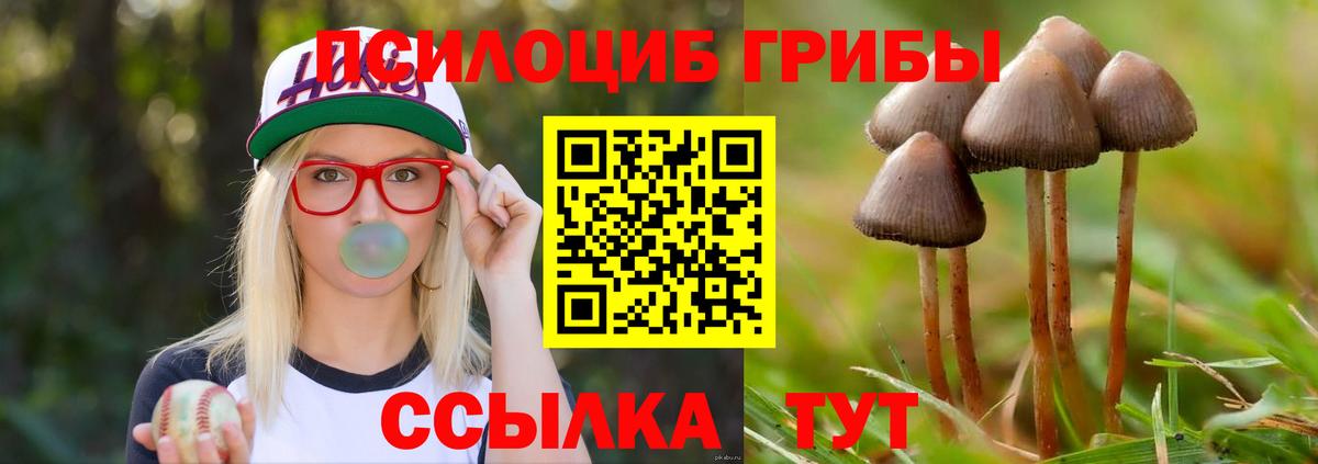 Галлюциногенные грибы прущие грибы Ноябрьск